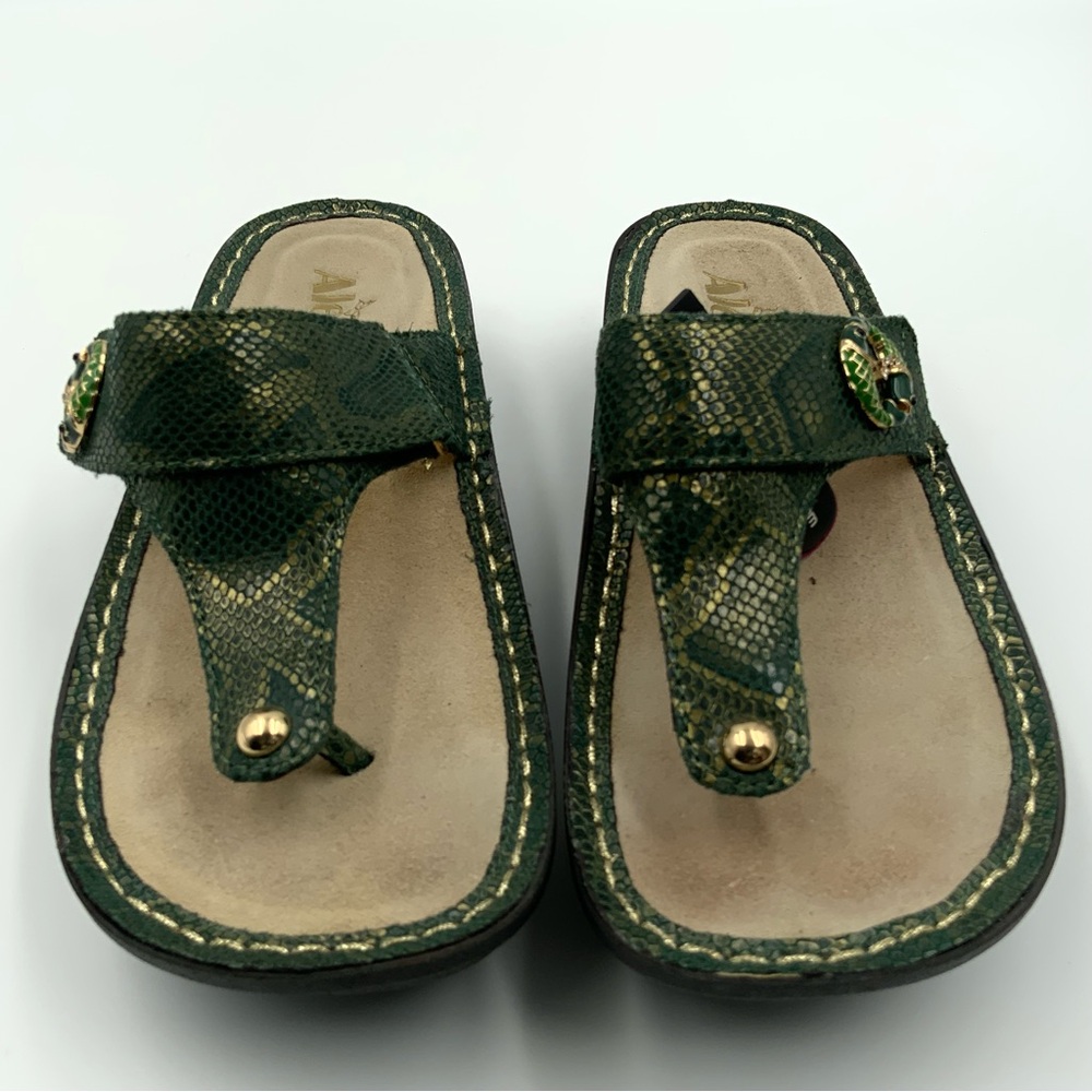 Alegria Carina Fancy Fish Sandals. Green. Women’s Size 36.
